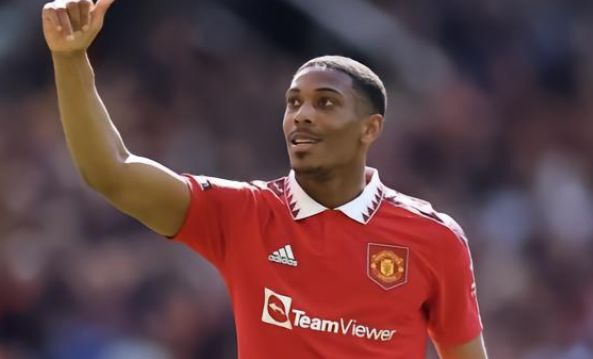 的成长与巅 的成长与巅