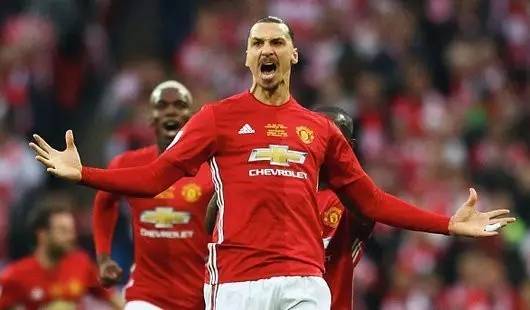 购买条款 购买条款